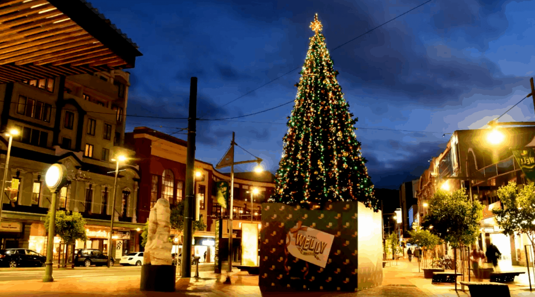 Festive Networking Drinks (Wellington)
