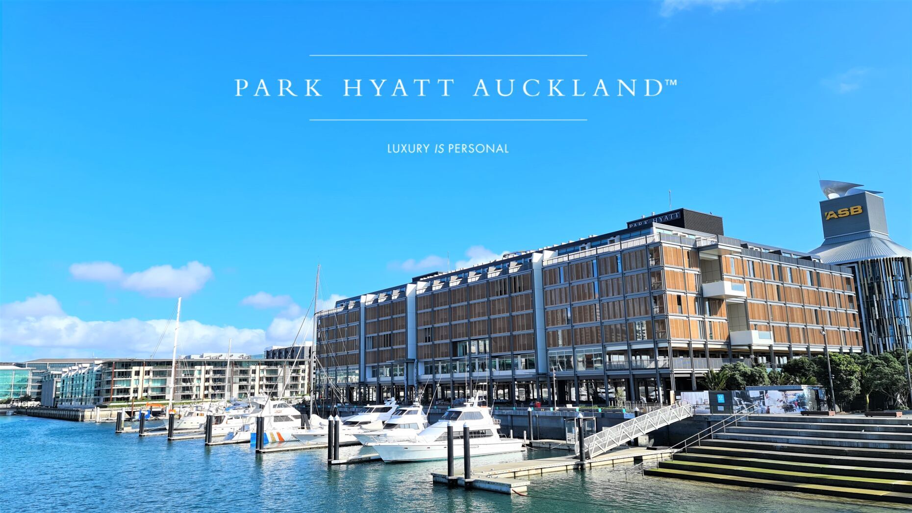 Festive Networking Drinks (Auckland)