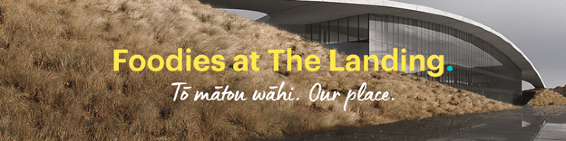 The Landing - FSNI New Site - Talk and Tour