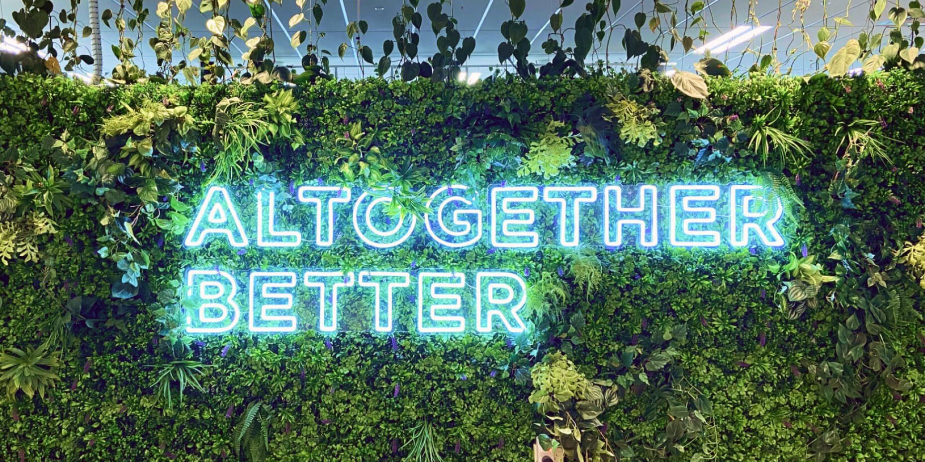 Sustainability and Wellness in Action